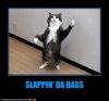 slappin.jpg