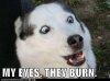 eyes.jpg