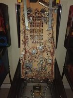 20180206_194751.jpg