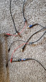 20180320_111934.jpg