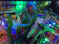 IMG_3383.JPG