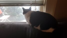 20181128_103930.jpg