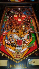 20181026_145137.jpg