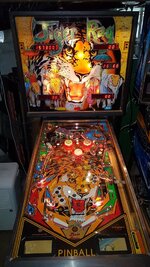 20181026_145147.jpg
