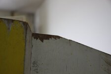 IMG_6252.JPG