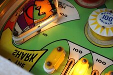 IMG_6237.JPG