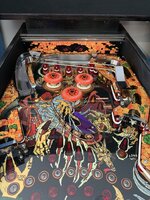 IMG_6242.jpg