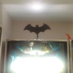 IMG_20190630_142718.jpg
