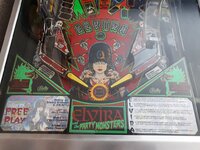 20190928_121915.jpg