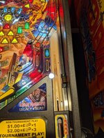 IMG_20200201_133346.jpg