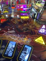 IMG_2831.jpeg