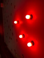 IMG_5679.jpg