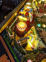 IMG_6165.jpg