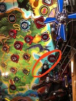 120720346_10157310224210588_5046130853911839480_o.jpg