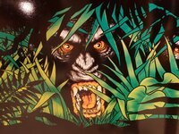 20201227_173200 (Large).jpg