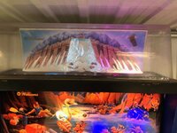 IMG_0214.jpg