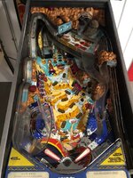 IMG_1217.jpg