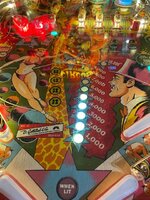 IMG_6701.jpg