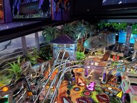 20210330_194906.jpg
