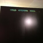 064AC46C-FB87-4864-86B8-BCDE0ECCC646.jpeg