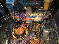 IMG_5825.jpeg