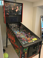 IMG_6125.jpeg