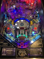 IMG_2997.jpeg