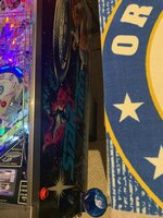 IMG_2999.jpeg
