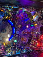 IMG_3003.jpeg