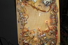 IMG_7281.jpg