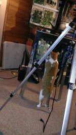 marvin_inspecting.jpg
