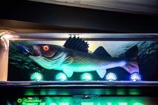 USER_SCOPED_TEMP_DATA_orca_share_media1634585525950_6855948609834326481.jpeg