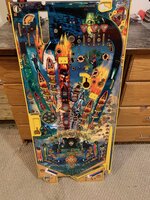 IMG_3203.jpeg