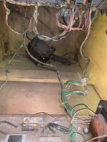 IMG_0292.jpg