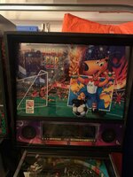IMG_3521.jpeg