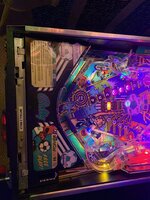IMG_3524.jpeg