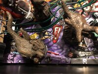 IMG_0589.jpg