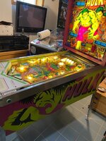 IMG_7853.jpg