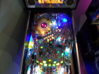 SAM_0259.JPG