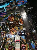 IMG_20220905_155709.jpg