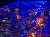 IMG_2869.jpeg