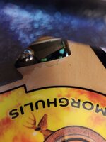 20221015_164532.jpg