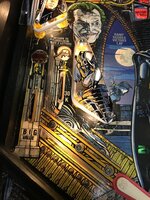 IMG_0456.JPG