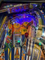 IMG_8586.jpg