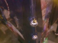 20230409_201251.jpg