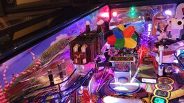 20230519_085259.jpg