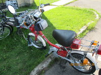 IMG_9890.JPG