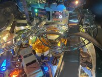 IMG_4396.jpeg