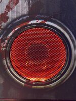 IMG_7401.jpeg