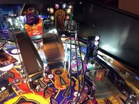 IMG_2293.jpg